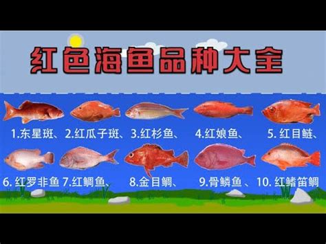 紅色魚種類|常吃的12种红色海鱼你认识几种？很多人活了一辈子只认识东星。